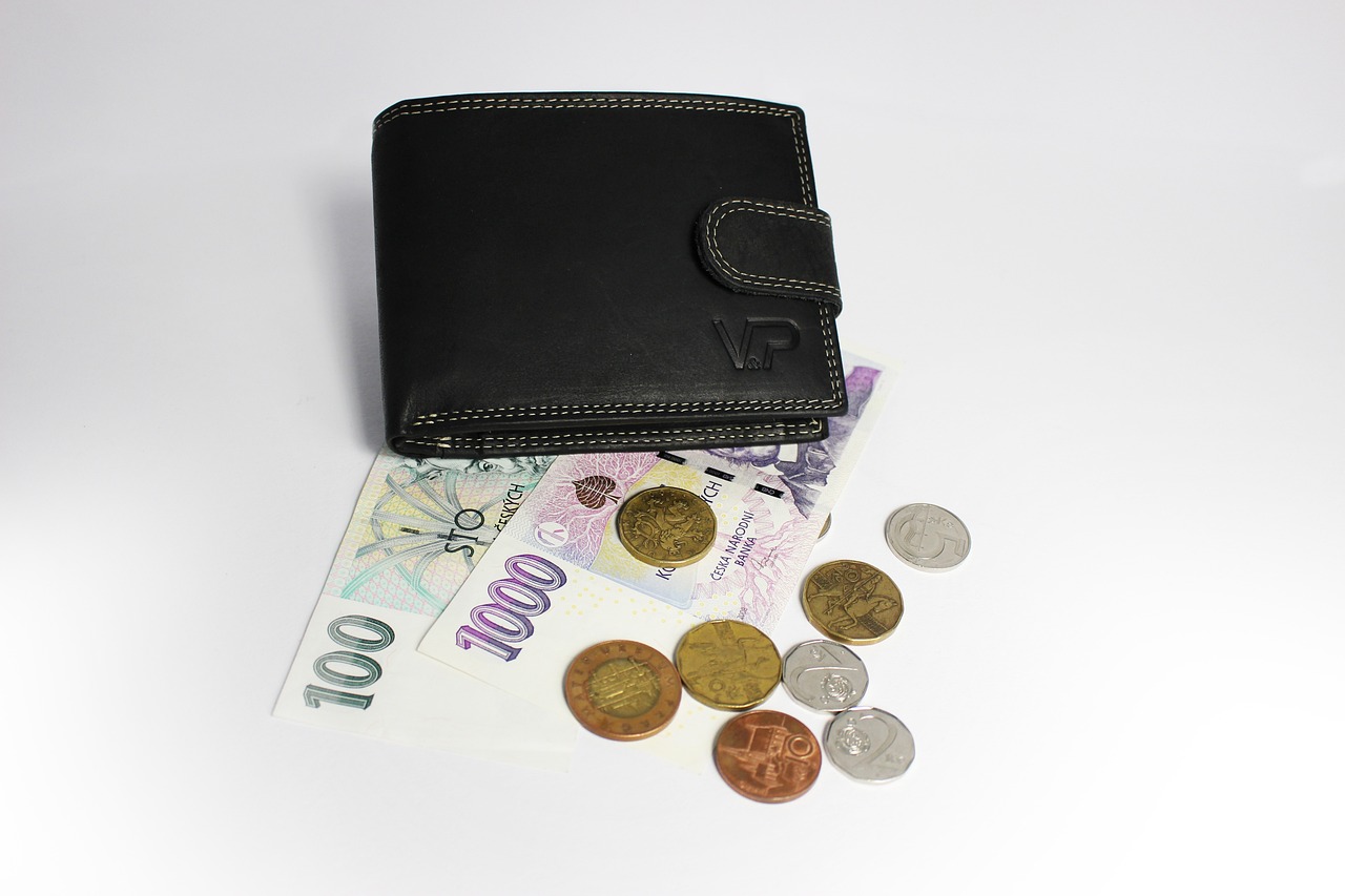 Understanding Wallet Interoperability Challenges